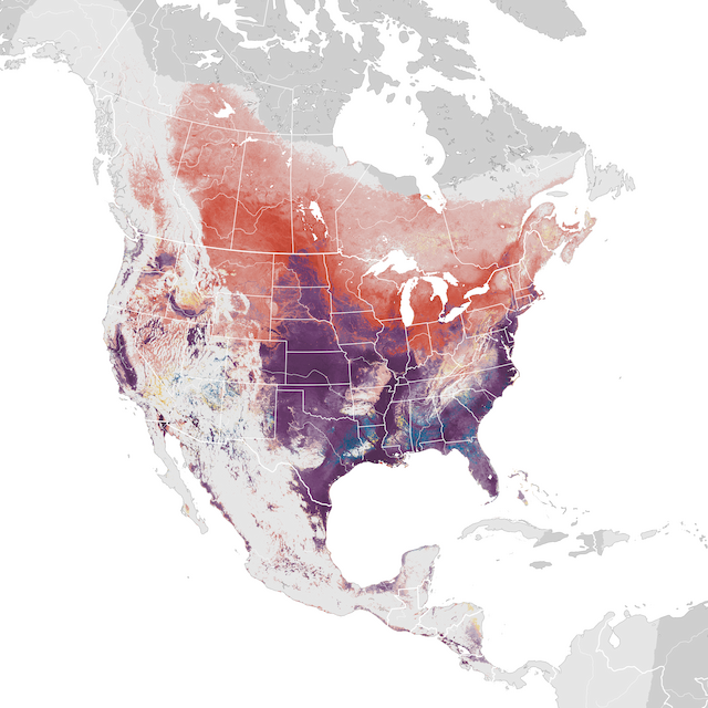 Abundance Map