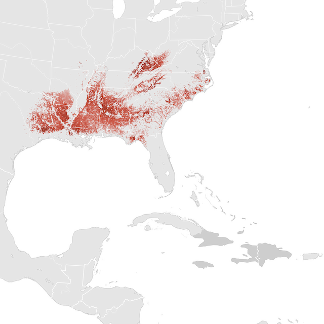 Mapa de abundâcia