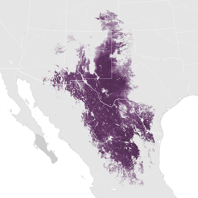 Mapa abundance