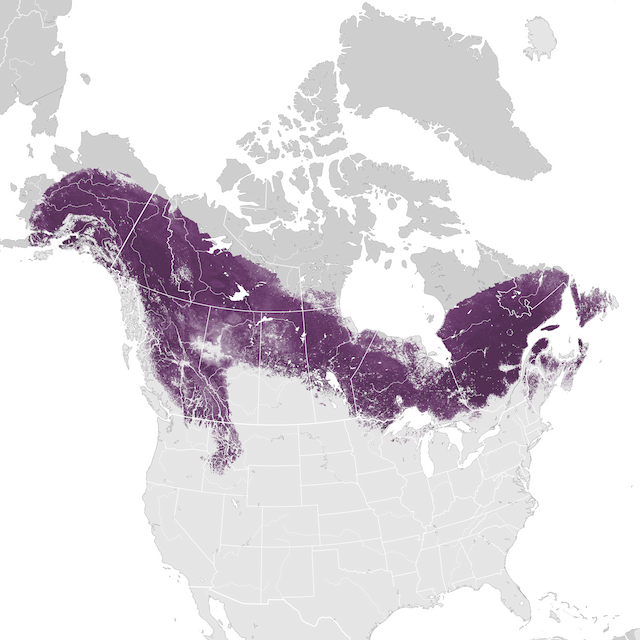 Mapa de Abundância