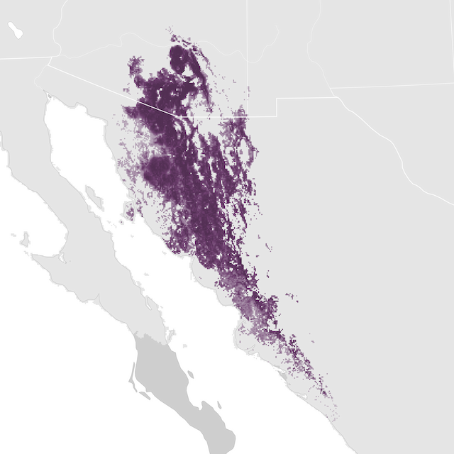 Abundance Map