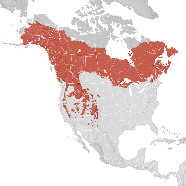 Mappa di distribuzione