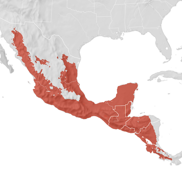 Mapa de Distribuição