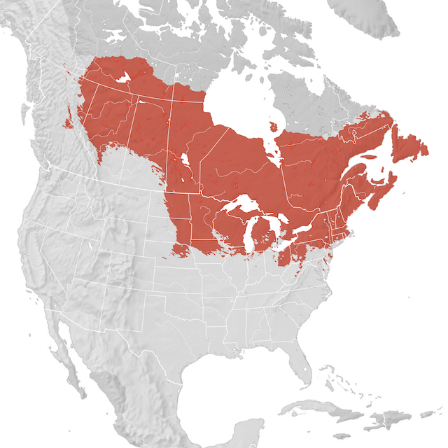 Range Map