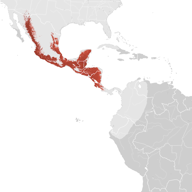 Mapa de Abundância