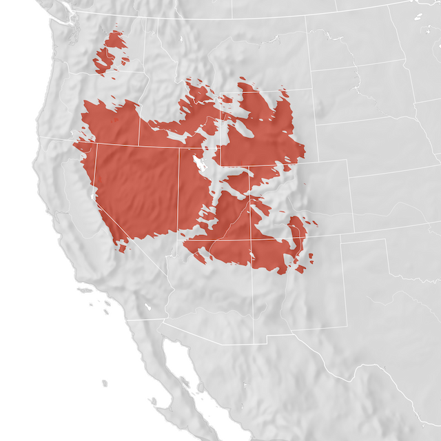 Range Map