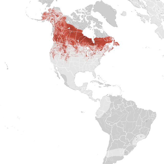 Abundance Map