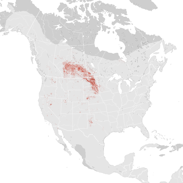 Ugaritasun mapa