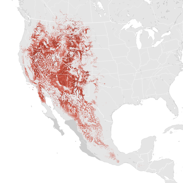 Abundance Map