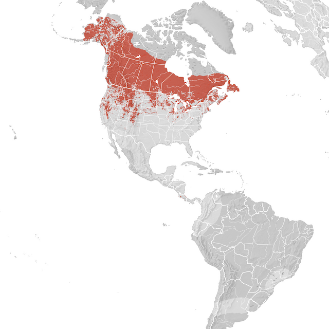 Mappa di distribuzione