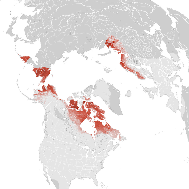 Mapa de Abundância