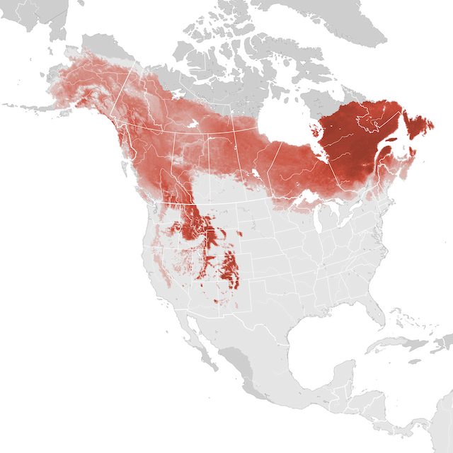 Abundance Map