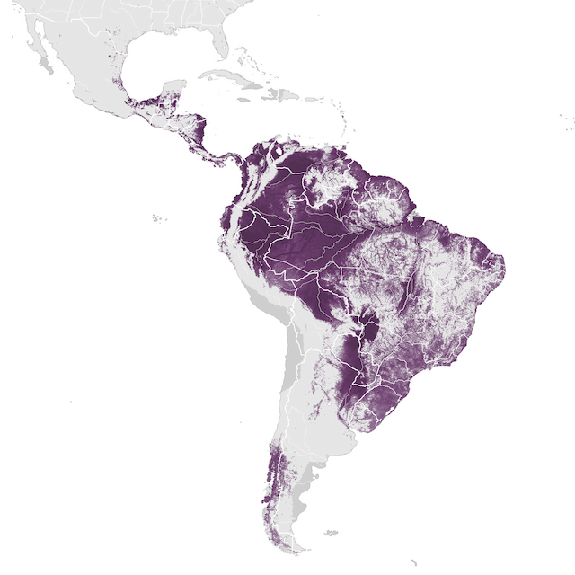 Abundance Map