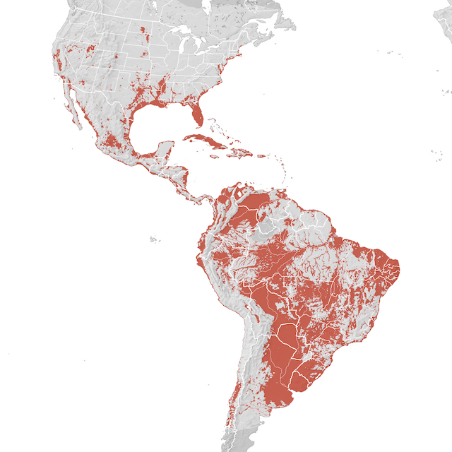 Mapa de distribuição