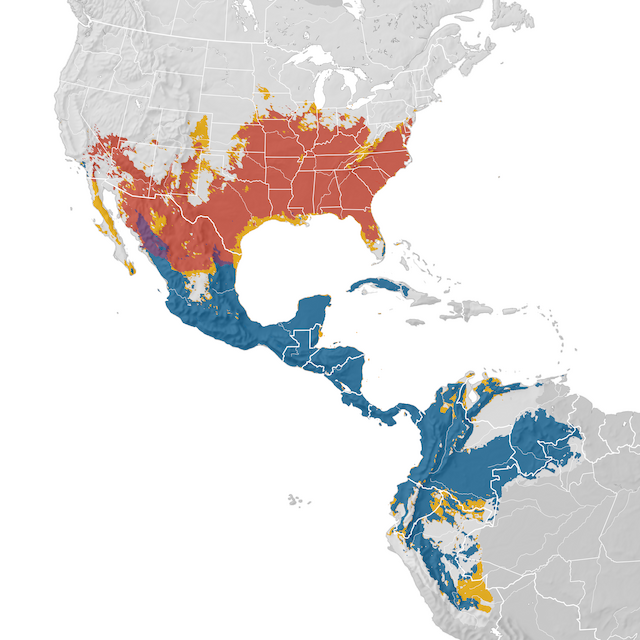 Mapa de Distribuição