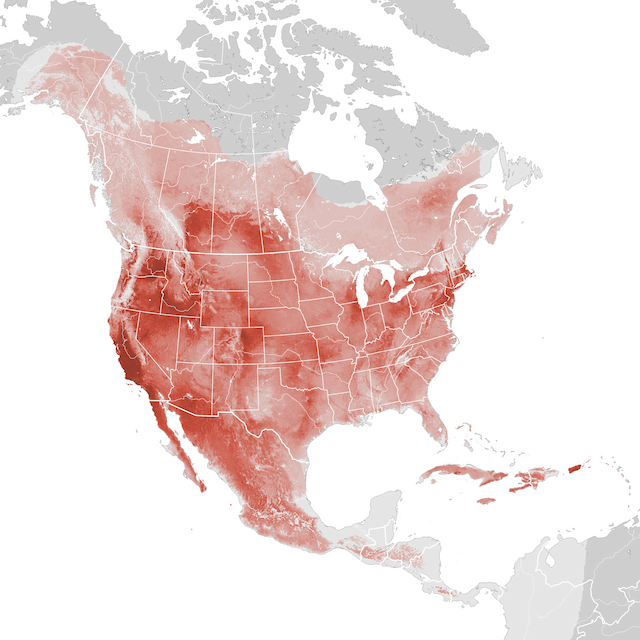 Abundance Map