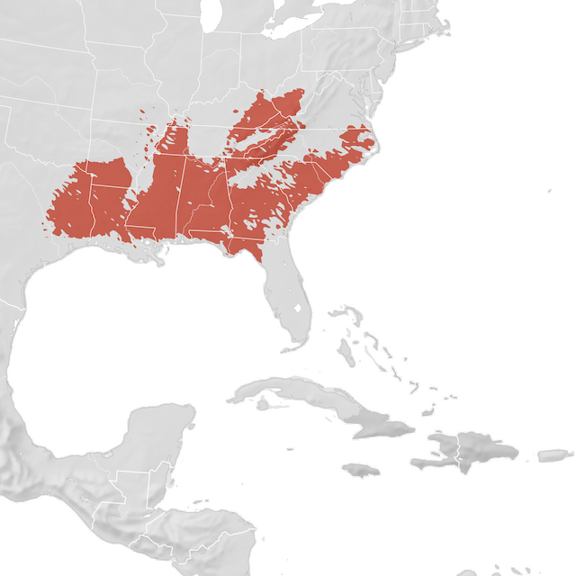 Mapa de Distribuição