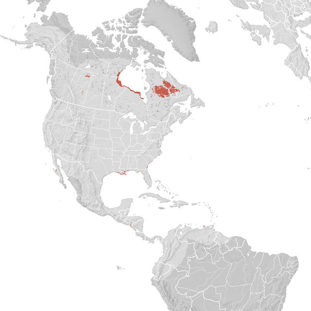 Range Map