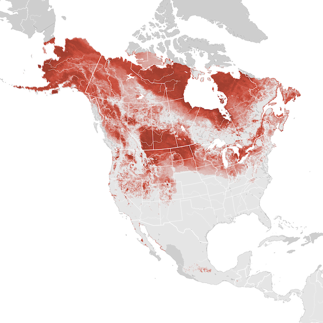 Abundance Map