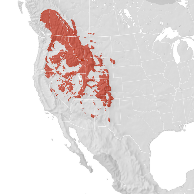 Range Map