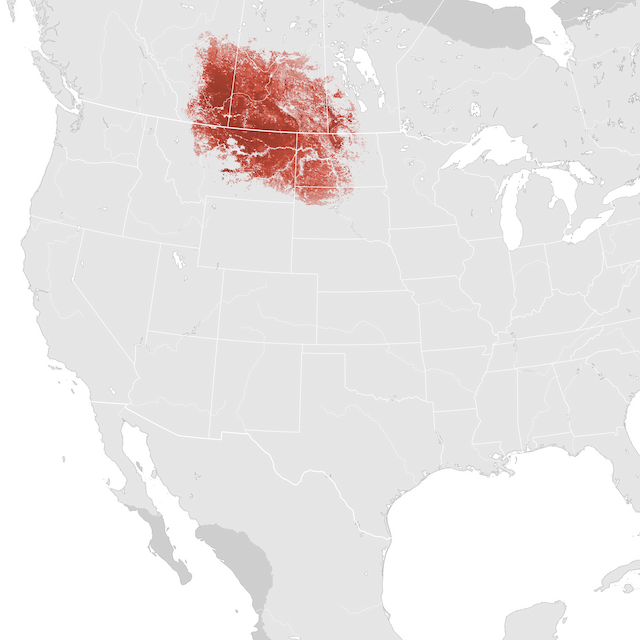 Abundance Map