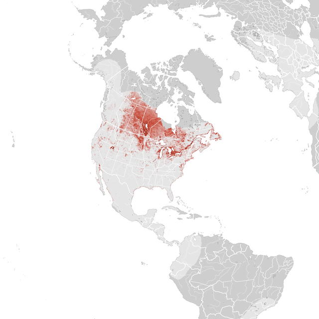 Mapa de Abundância