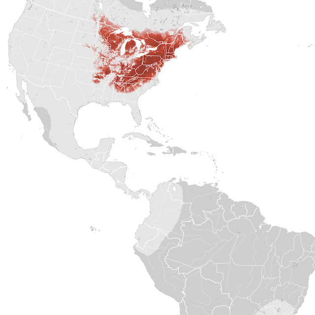 Mapa de Abundância