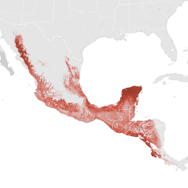 Mapa de abundancia