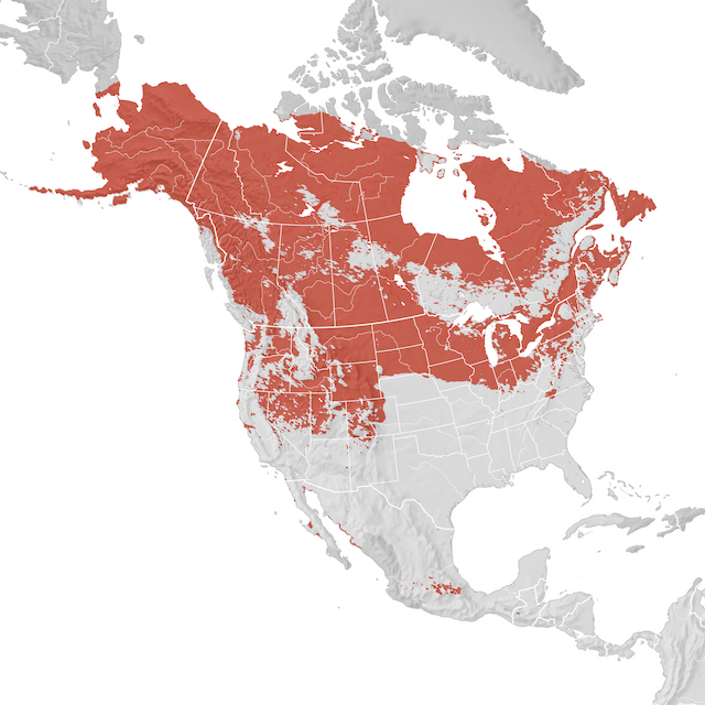 Range Map