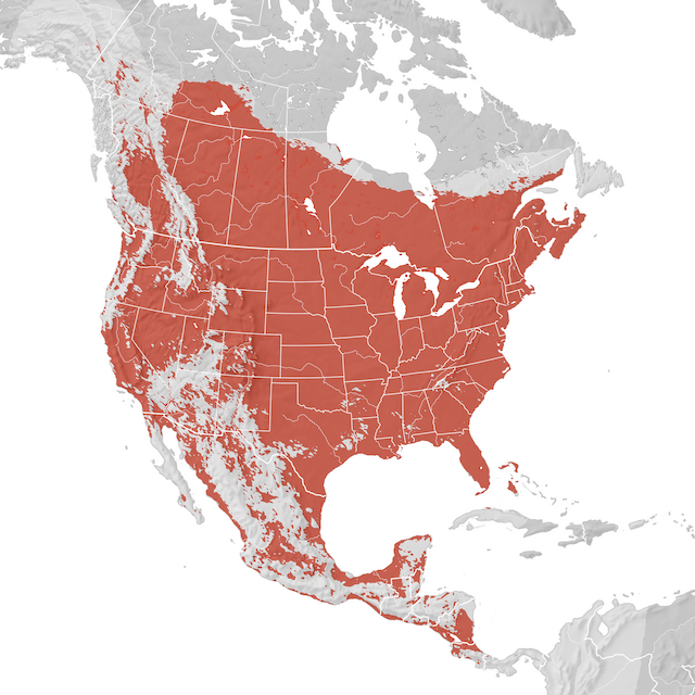 Mapa de Distribuição