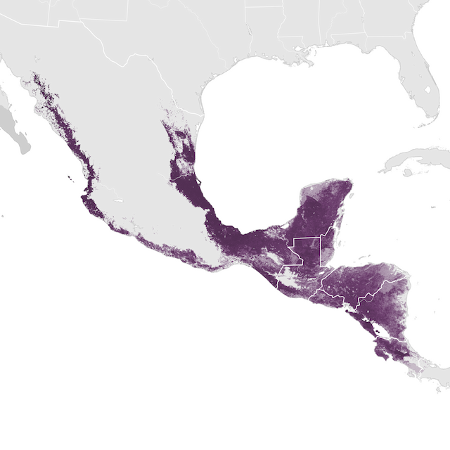 Mapa de Abundância