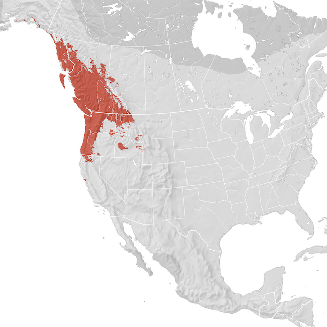 Range Map