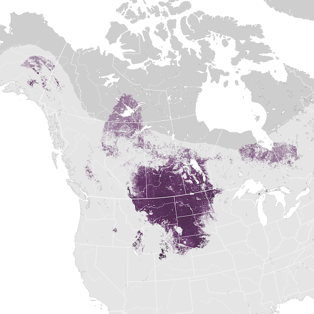 Mapa de Abundância