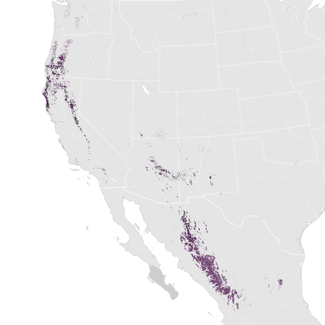 Mapa abundance