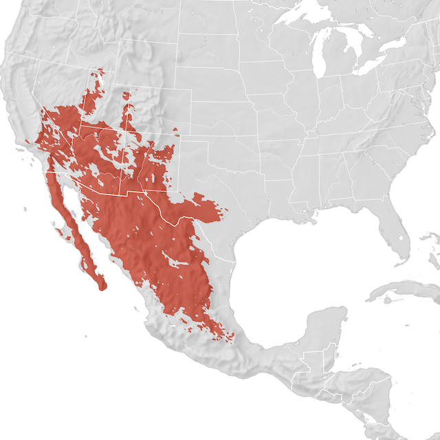 Range Map