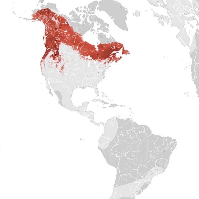 Mapa de abundâcia