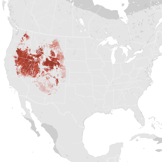 Mapa de Abundância