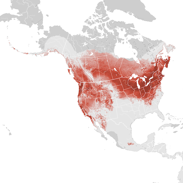 Mapa de abundâcia