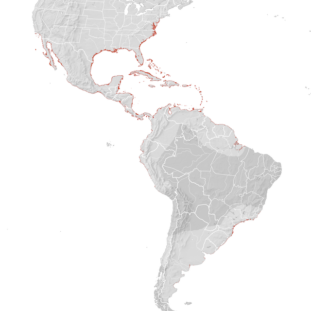 Mappa di distribuzione