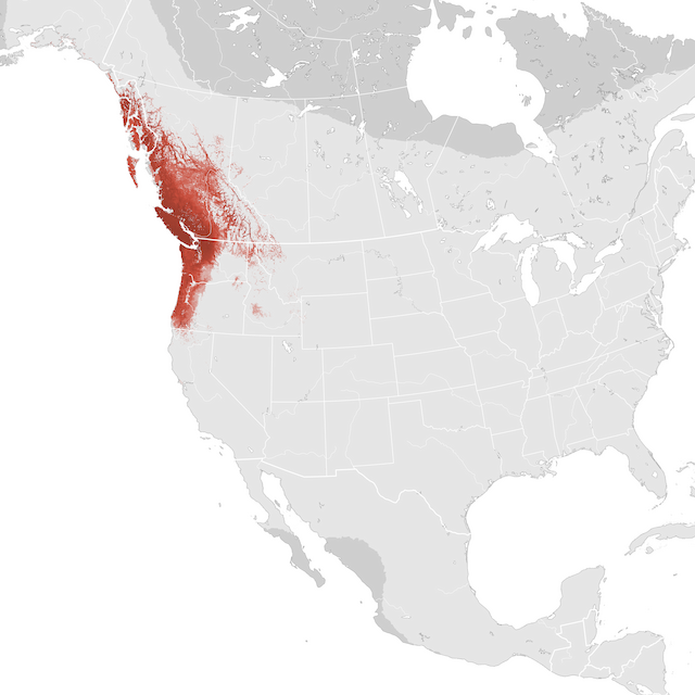 Mapa de Abundância