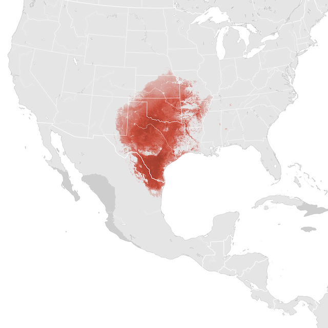 Mapa de abundancia