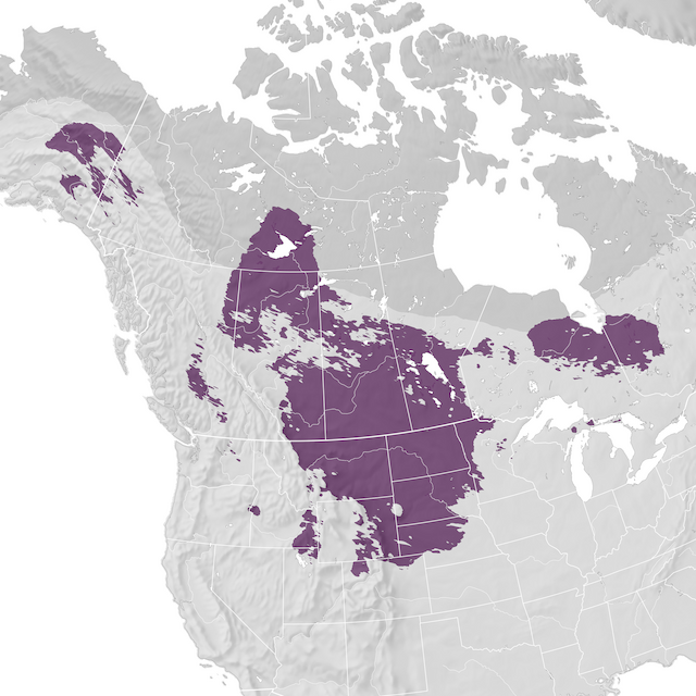 Mappa di distribuzione