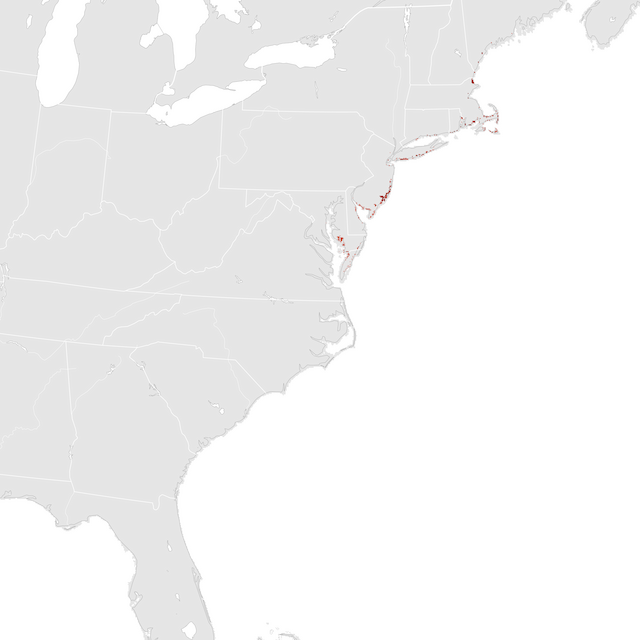 Abundance Map