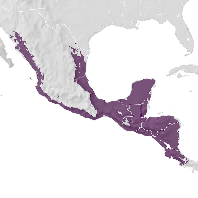 Mapa de distribuição