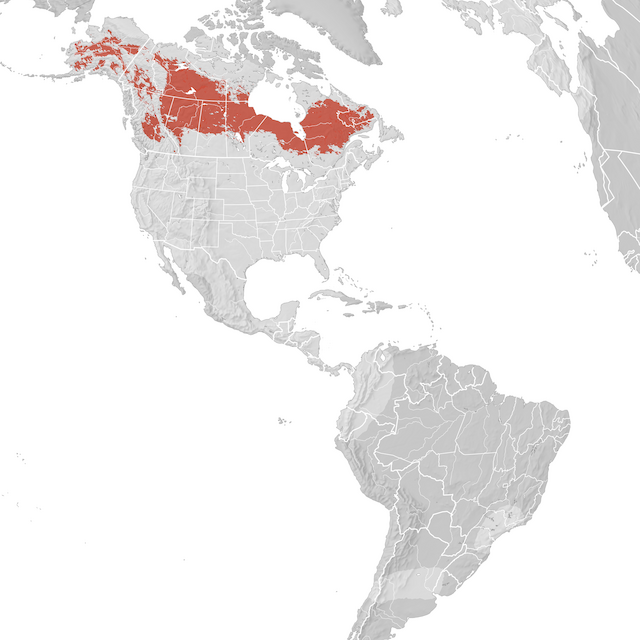 Mappa di distribuzione