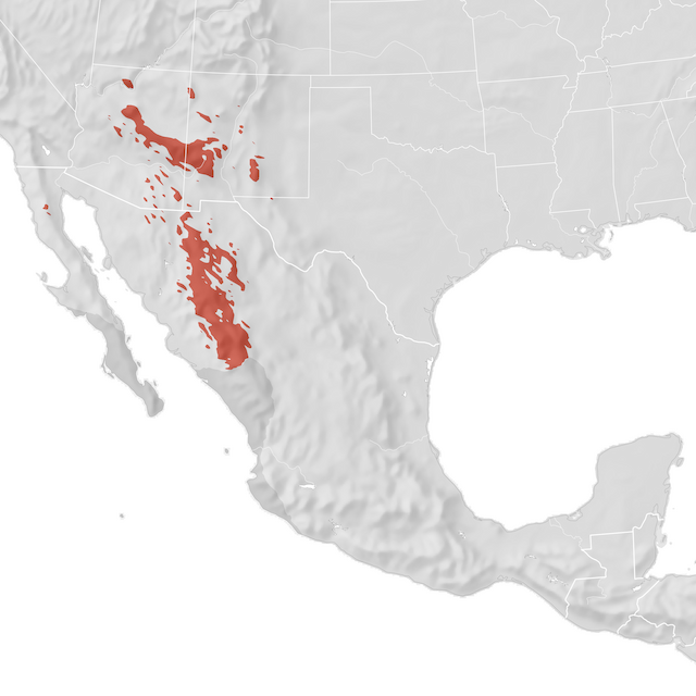 Mapa de distribuição