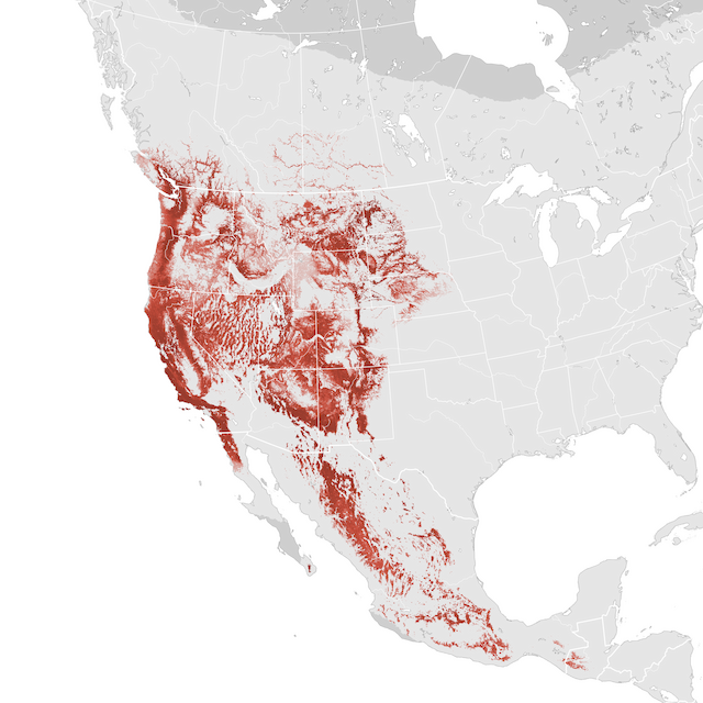 Mapa abundance