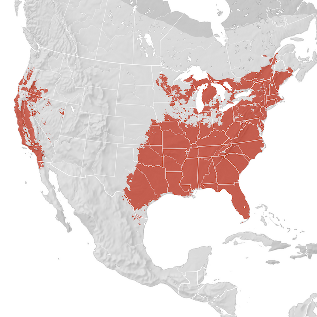 Range Map