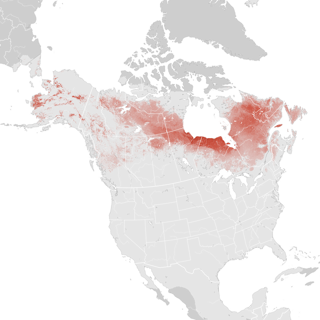 Abundance Map