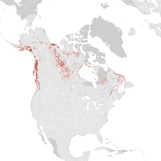 Mapa de abundancia